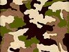 Army Camo swimwear fabric samples