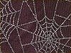 Glitter Spider Web swimwear fabric samples