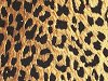 Leopard swimwear fabric samples