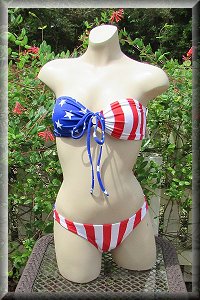 American Flag Low Rise Bikini Set.