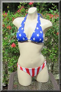 American Flag Bikini Set.