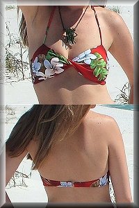 Tahiti Twister Bikini Top.
