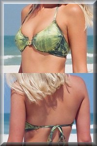 Seaside Underwire Bikini Top.